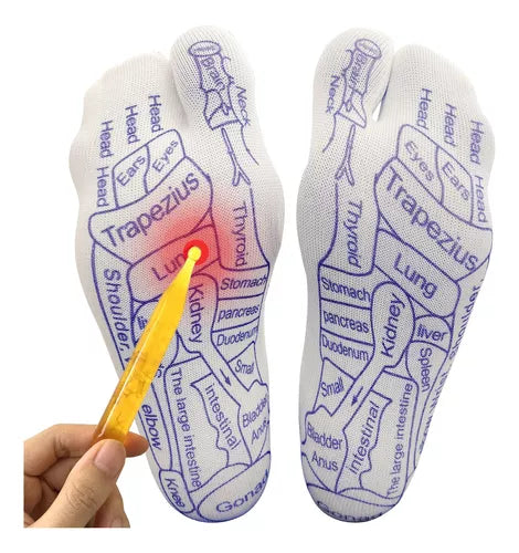 MEDIAS DE ACUPRESION Y REFLEXOLOGIA