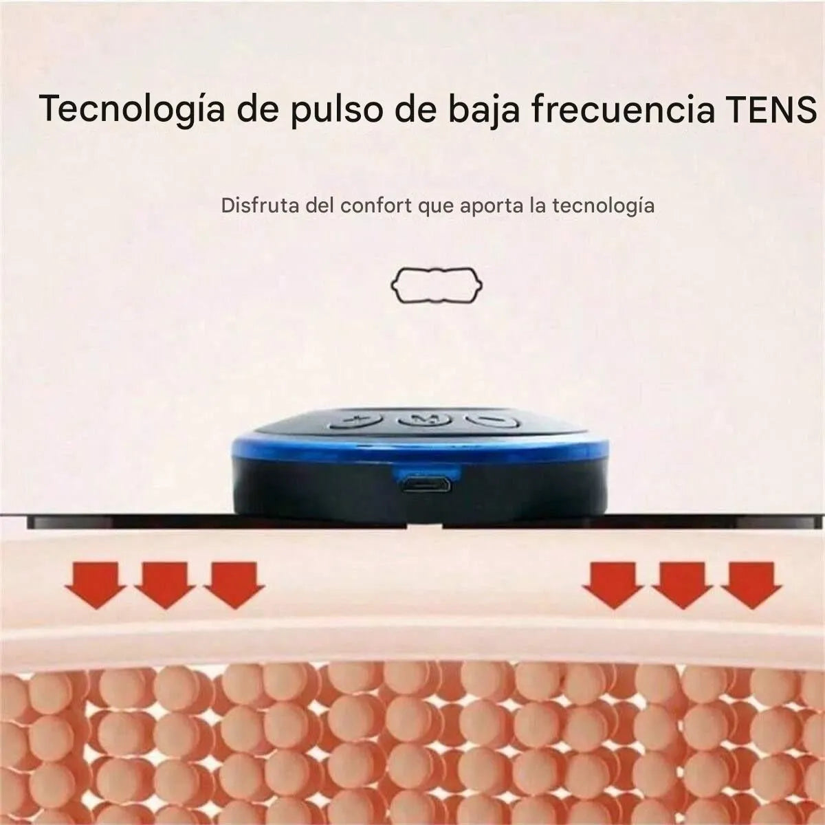 COMBO: 2 MARIPOSAS CUELLO+ TAPETE EMS