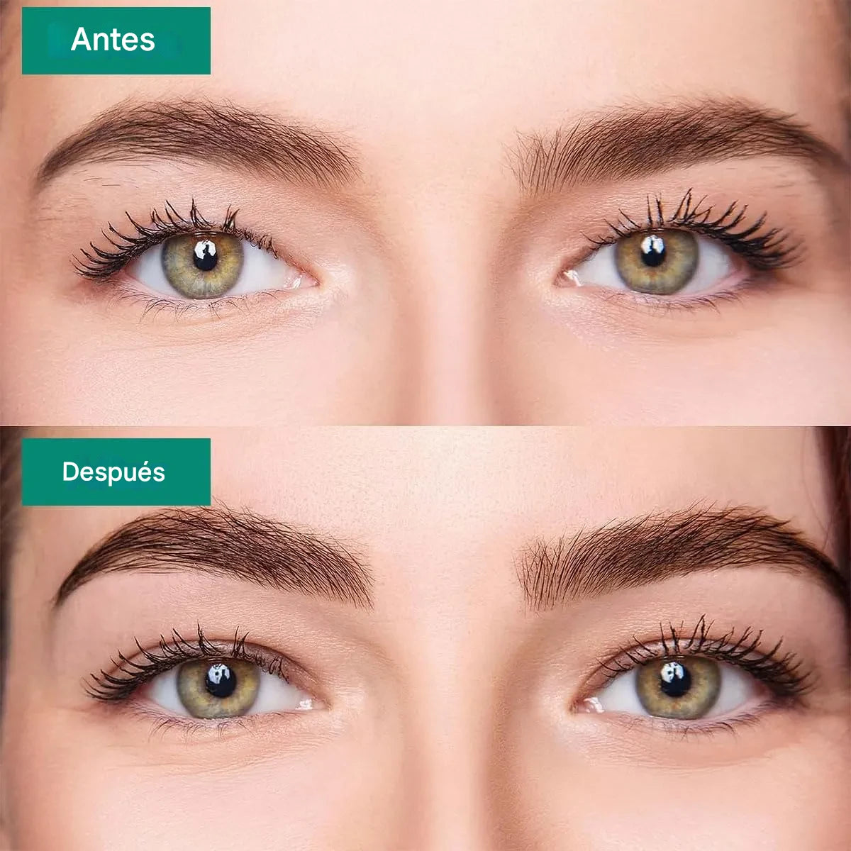 70 UNIDADES DE LEVANTA PARPADOS